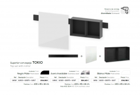 CONJUNTO ESPEJO DE BAÑO Y MUEBLE MODELO TOKIO BELTRAN NOVEDAD