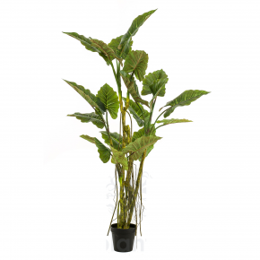 Plantas y flores artificiales

plantas artificiales realistas

plantas artificiales realistas para exterior

plantas artificiales para exterior balcones

plantas artificiales exterior resistentes

las mejores plantas artificiales de exterior

plantas artificiales 

plantas artificiales exterior baratas