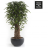 ÁRBOL FICUS DELUXE  ARTIFICIAL DE INTERIOR 