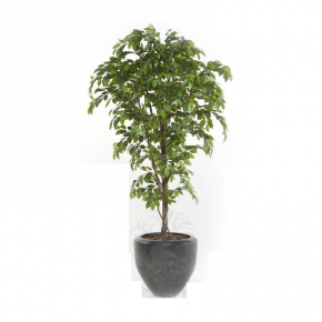 DECOPLANTA  ÁRBOL  ARTIFICIAL FICUS PREMIUM 1802004